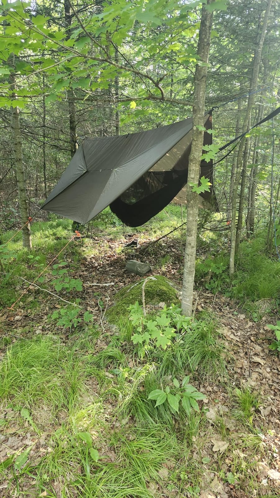onewind 11ft Camping Double Hammock with Mosquito Net, Ridgeline and Straps customer photo 1