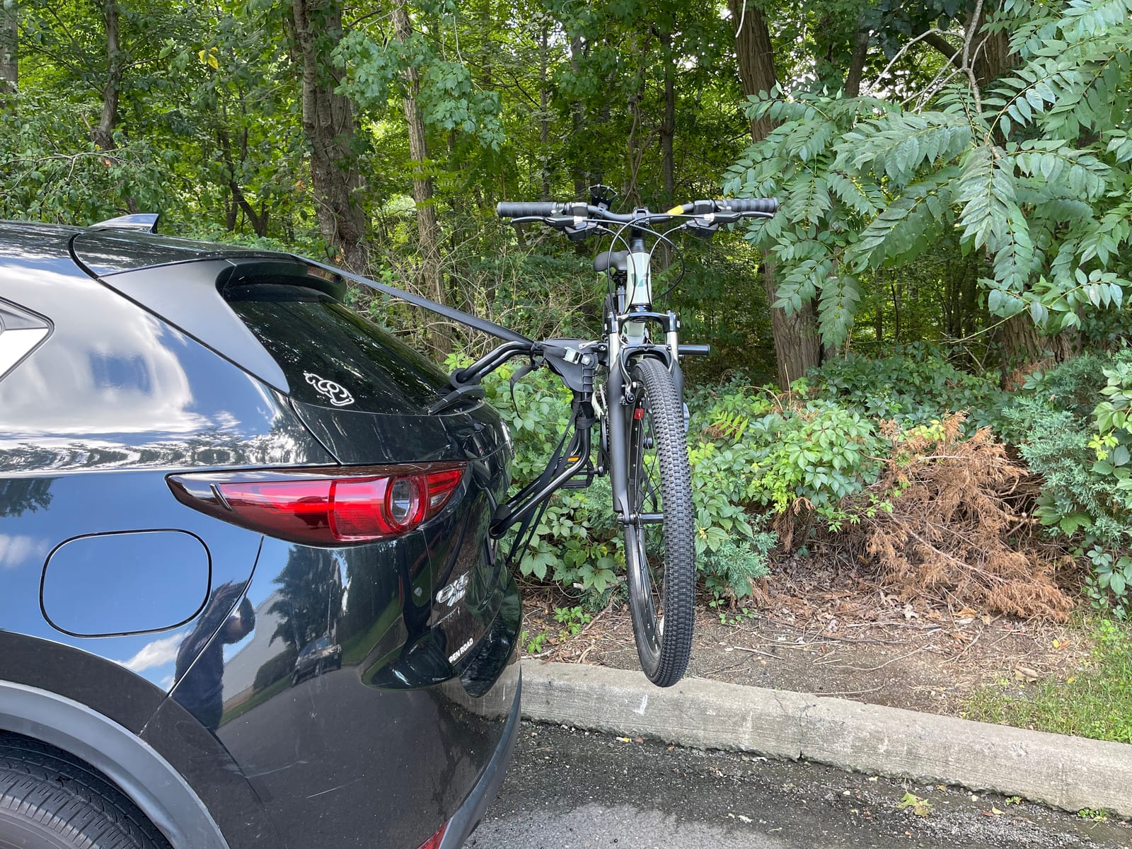 Saris Guardian Trunk Bike Rack – No-Hitch Bicycle Carrier for Car, Sedan, Hatchback, SUV, Van, – Foldable Steel Mount – Easy Installation, American-Made, (35 lbs Each) customer photo 2