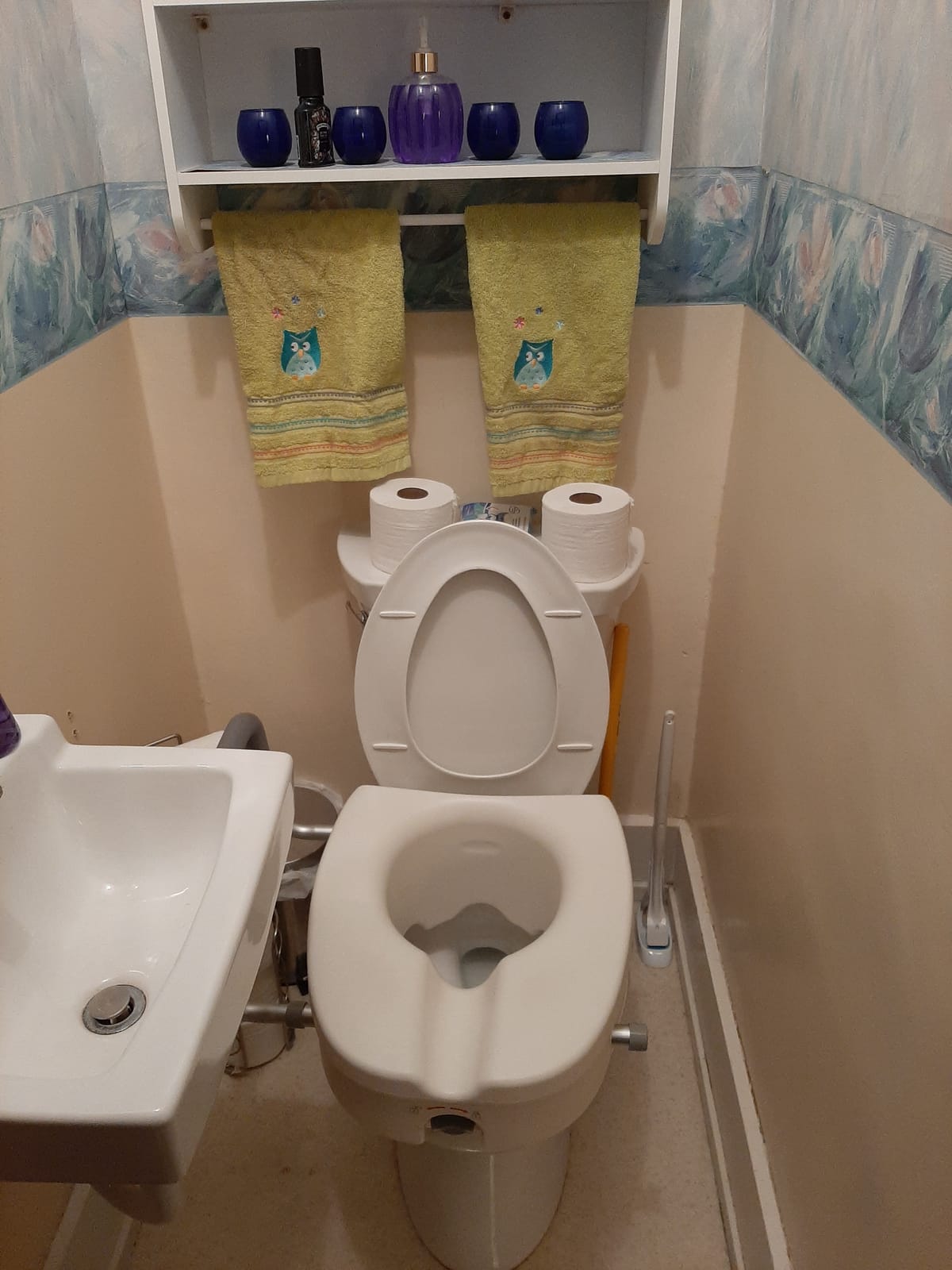 RMS Raised Toilet Seat - 5 Inch Elevated Riser with Adjustable Padded Arms customer photo 2
