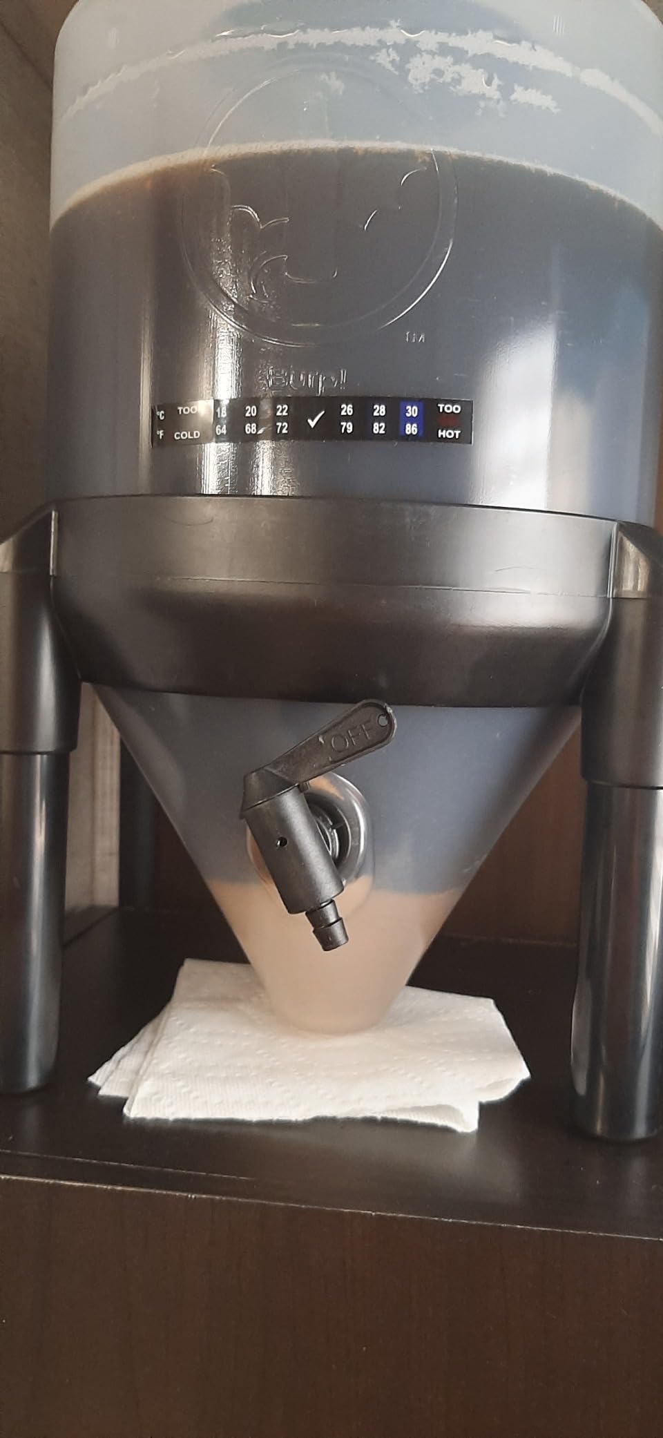 Premium Beer Making Kit w/Bottles - NO AIRLOCK OR Siphon Required - Conical Fermenter Eliminates Sediment and Makes Great Tasting Beer at Home - Includes Our 2 Gal. American Ale Recipe customer photo 2