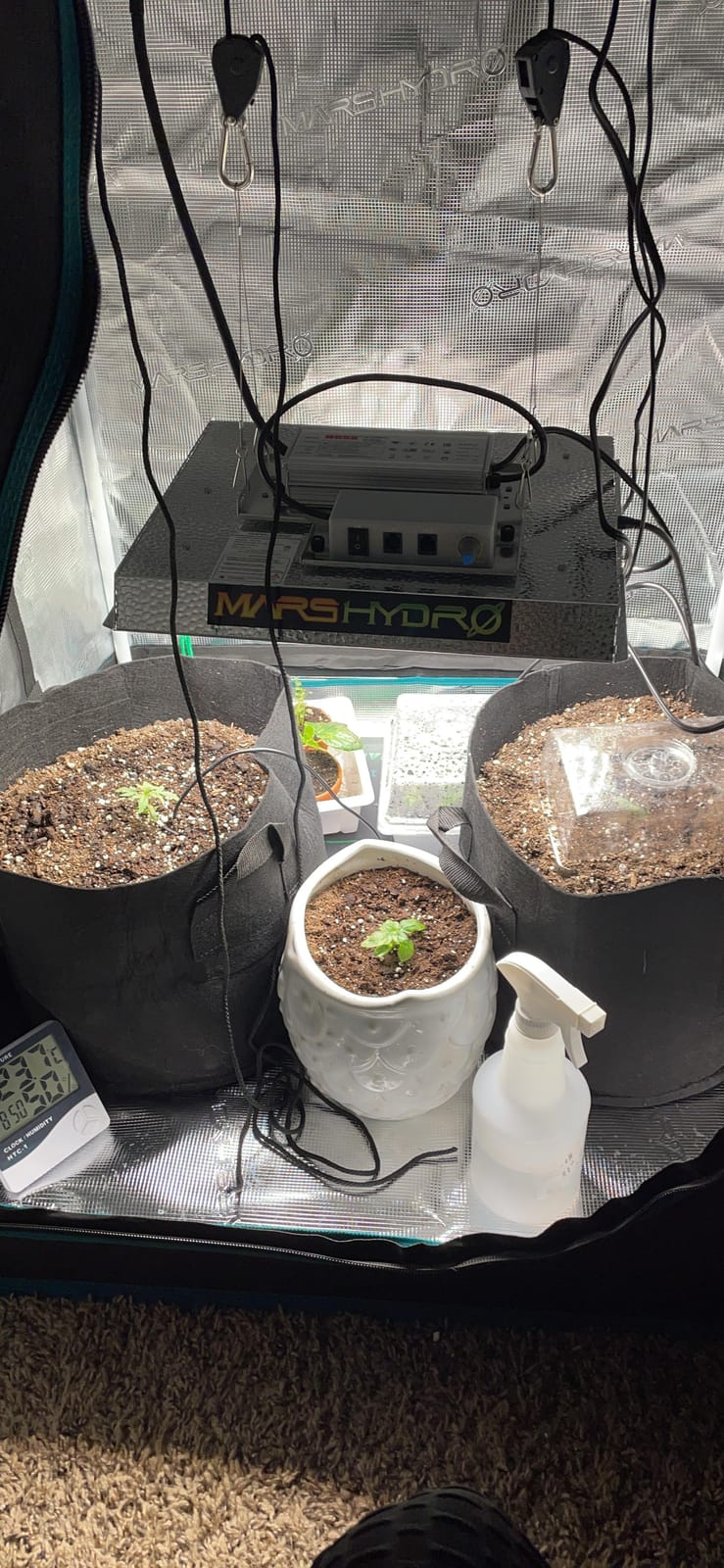 MARS HYDRO 3x3 Grow Tent Kit with TS1000 150W Full Spectrum LED Grow Light customer photo 1