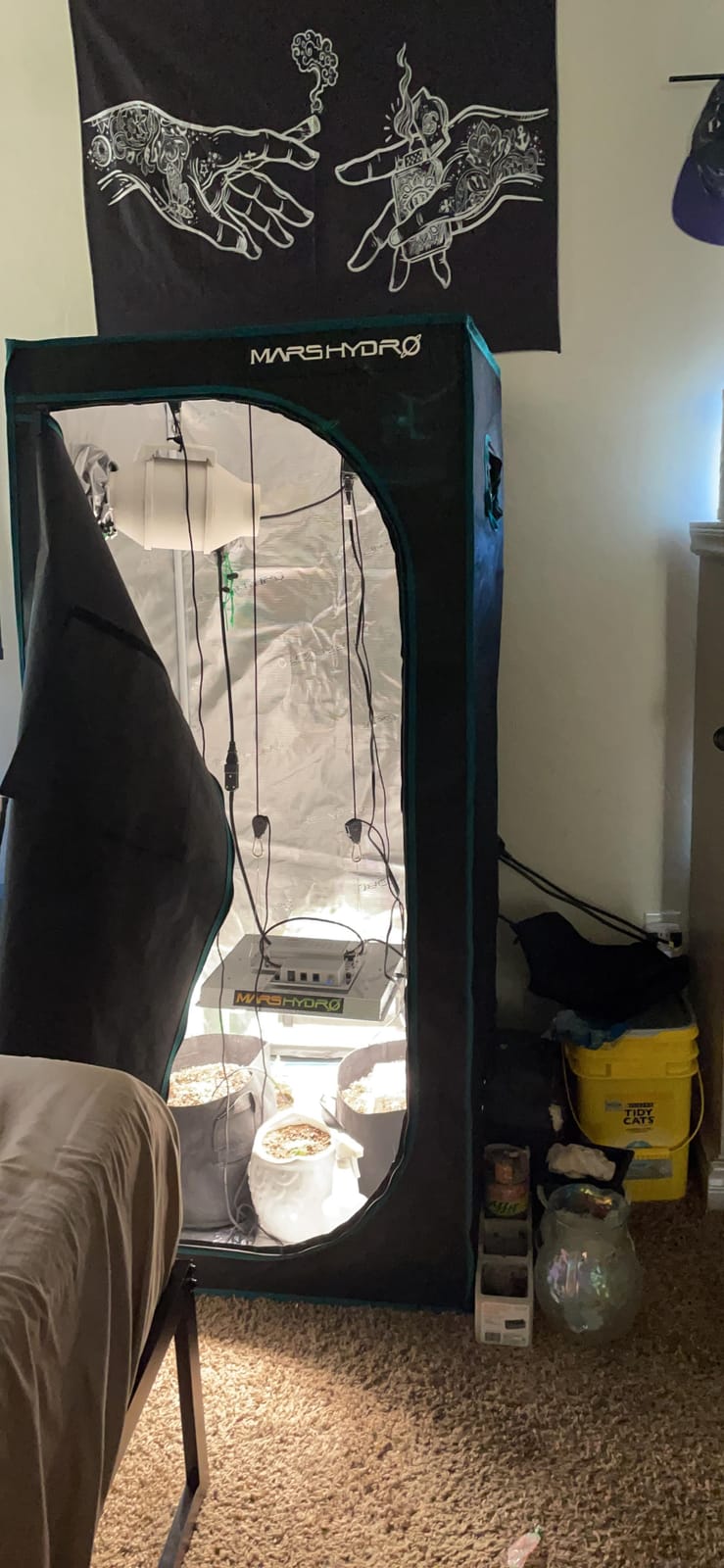 MARS HYDRO 3x3 Grow Tent Kit with TS1000 150W Full Spectrum LED Grow Light customer photo 2