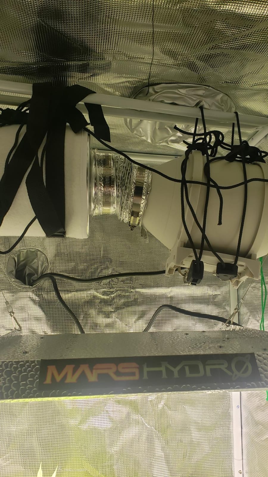 MARS HYDRO 2x2ft Grow Tent Kit with TS600 100W Full Spectrum LED Grow Light customer photo 2