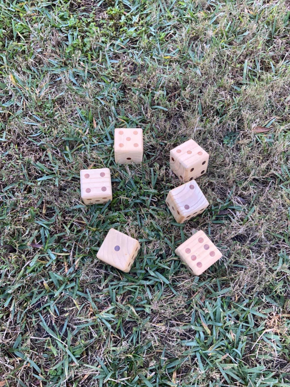 ApudArmis Giant Wooden Yard Dice, 3.5In Pine Lawn Game for Family customer photo 2