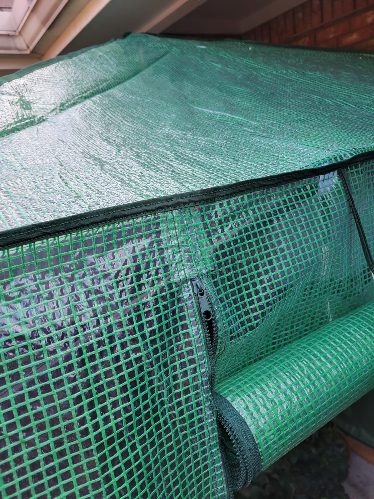 EAGLE PEAK 6x4 Easy Setup Small Pop Up Greenhouse, Clear/Green customer photo 2