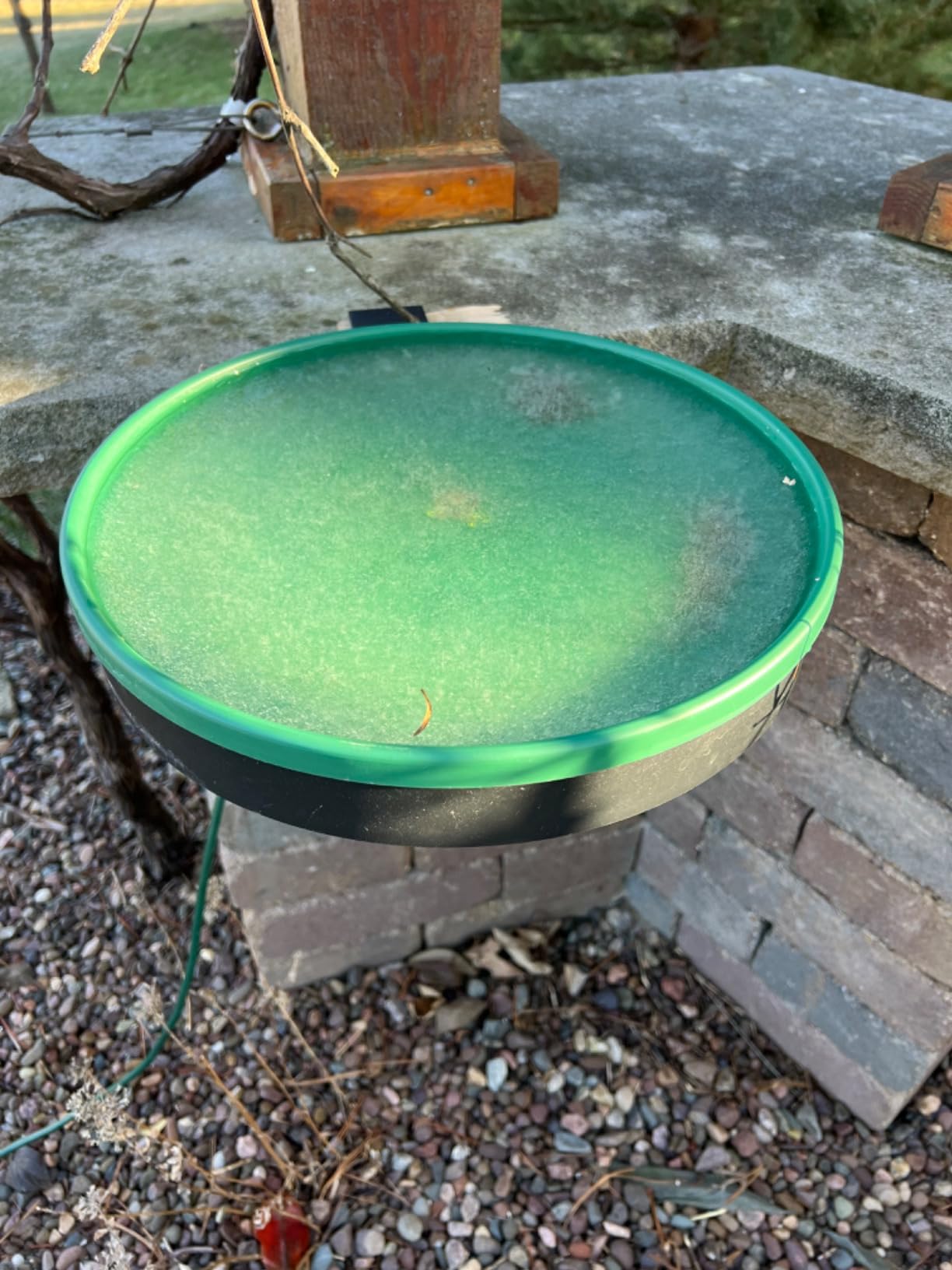 Heated Bird Bath for Outdoors for Winter, 3 Easy Ways to Mount Detachable Bird Bath Bowl, 75W Heated Bird Baths with Thermostatically Controlled for Garden Yard Patio Lawn, Terracotta customer photo 1