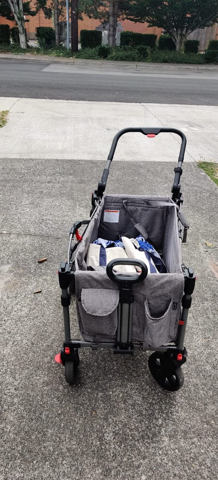 EVER ADVANCED Foldable Wagons for Two Kids & Cargo, Collapsible Folding Stroller with Adjustable Handle Bar,Removable Canopy with 5-Point Harness Gray customer photo 2