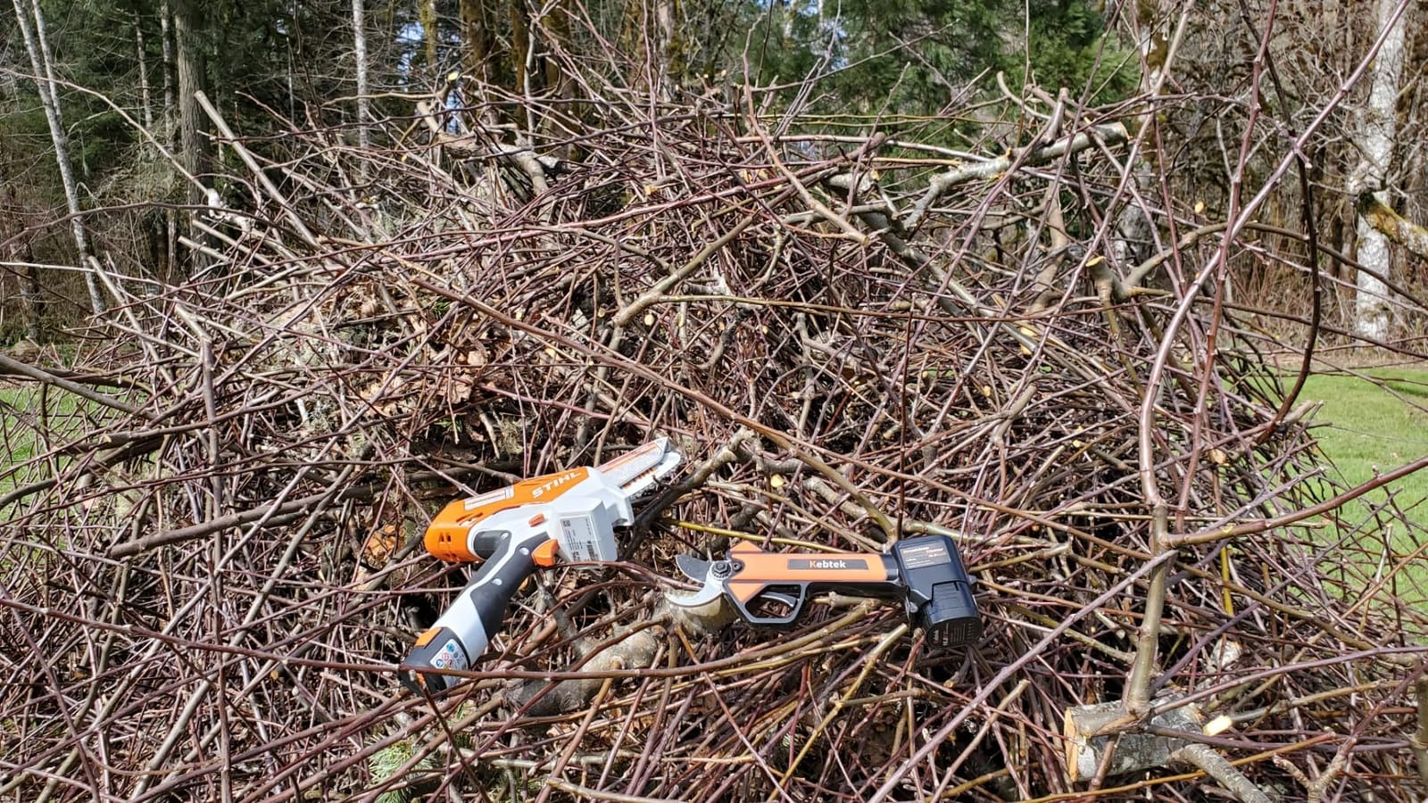 Kebtek Cordless Pruning Shears 25MM Electric Pruners 880G Lightweight | KST 16.8V 0.98Inch BrushlessMotor Portble Pruning Shear Battery Powered 2×2Ah Batteries for Garden Tree Branch Pruning customer photo 2