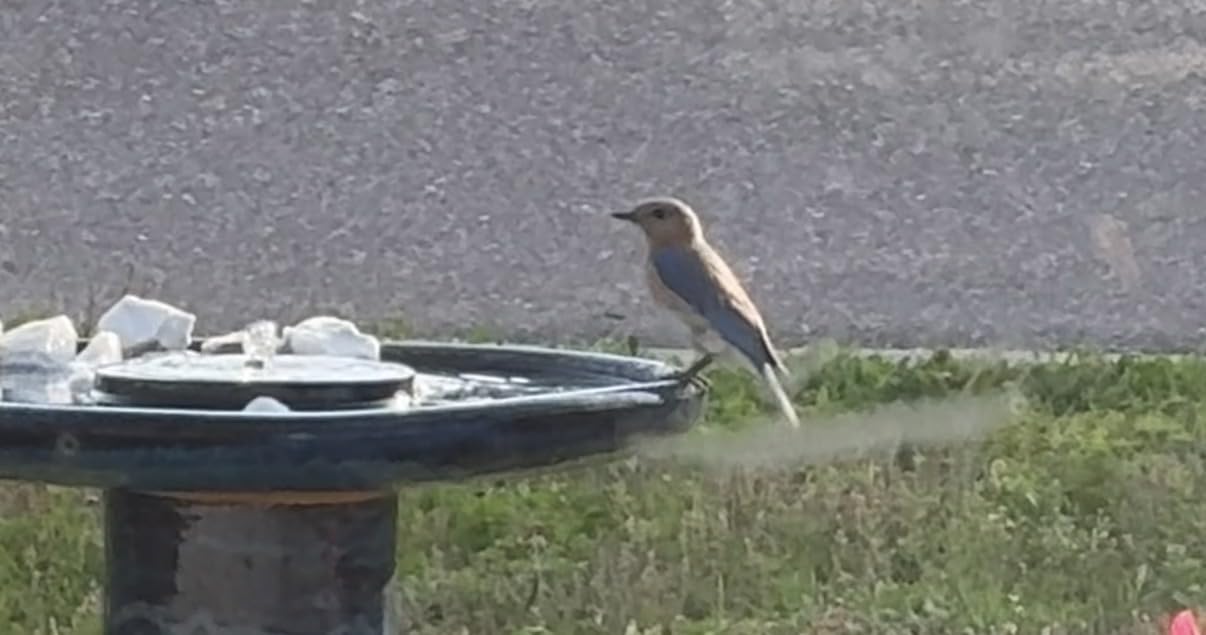 Sunnydaze Ceramic Bird Bath for Outside, Hand-Painted, 21