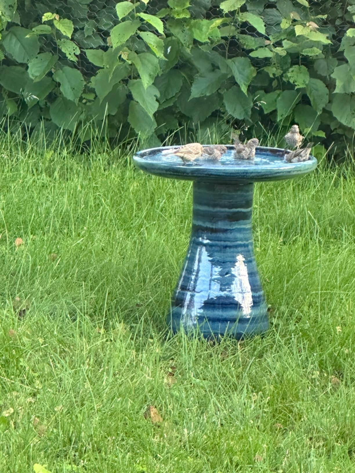Sunnydaze Ceramic Bird Bath for Outside, Hand-Painted, 21