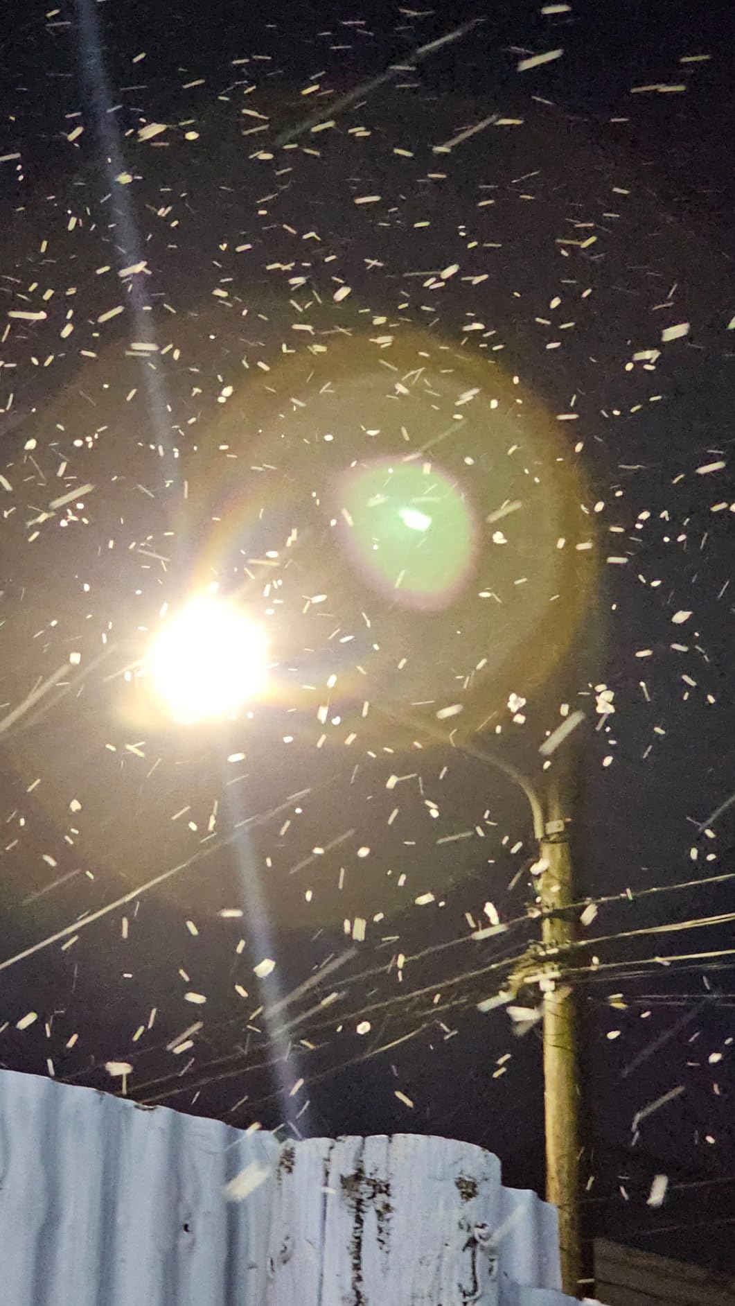 KYNG Snow Machine 650W Wired Remote Snow Maker | Artificial Snowflakes for Christmas, Holidays, Parties, Special Events customer photo 1