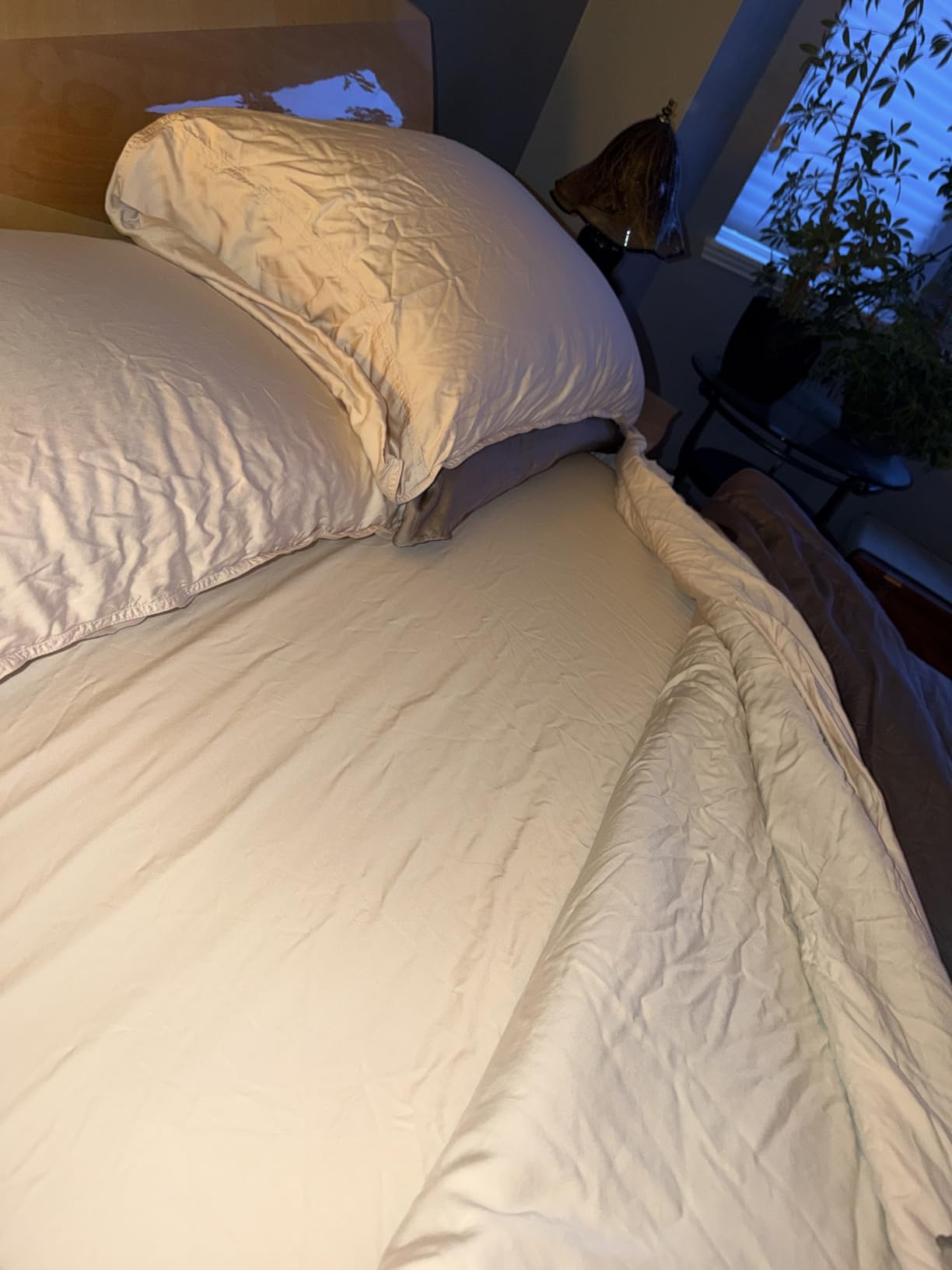 Bella Coterie Luxury Bamboo Viscose King Size Sheet Set customer photo 1