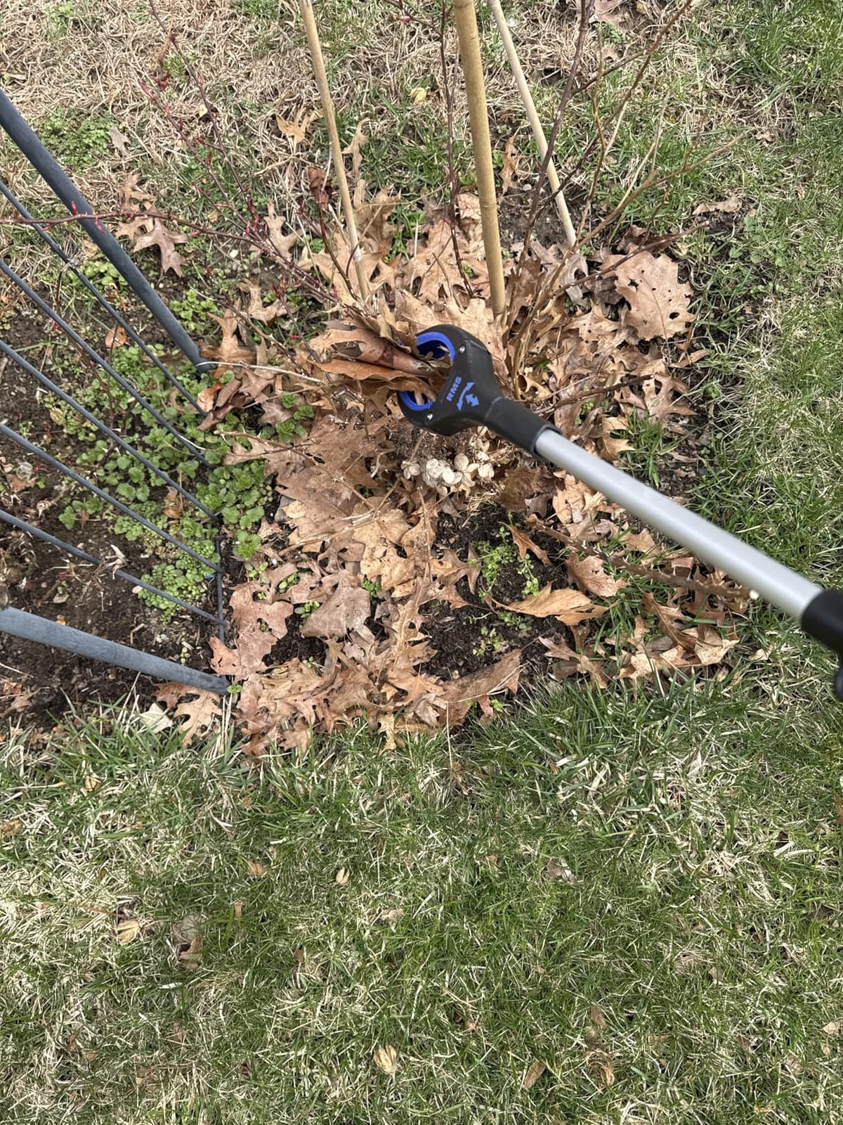 RMS 34 Inch Extra Long Reacher Grabber - Foldable with Rotating Jaw (Blue) customer photo 1