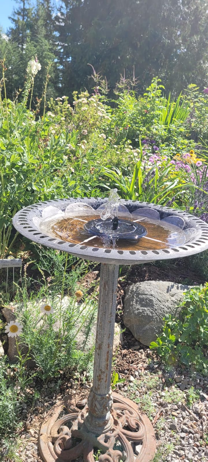 Mademax Upgraded Solar Fountain with 4 Easy Install Nozzle and Fixer, Solar Powered Fountain Pump for Bird Bath, Garden, Pond, Pool, Fish Tank, Outdoor customer photo 1