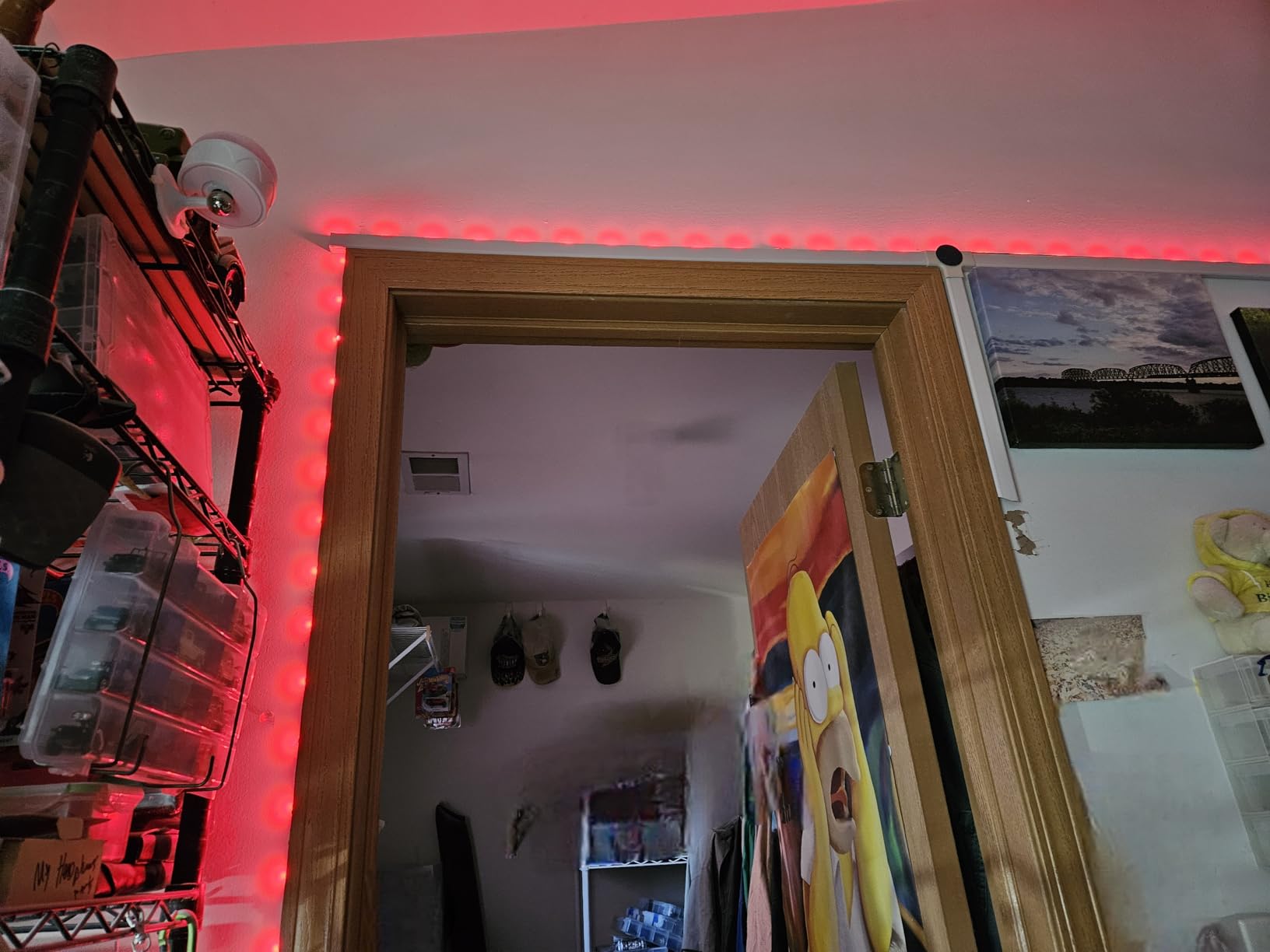 DAYBETTER Smart WiFi Led Lights 100ft, Tuya App Controlled Led Strip Lights, Work with Alexa and Google Assistant, Timer Schedule, Color Changing Led Lights for Bedroom Party Kitchen customer photo 1