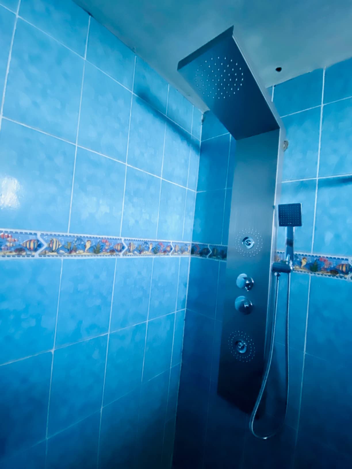 ROVOGO Shower Panel Tower System with 6 Shower Functions, Simultaneous Use | Rainfall Waterfall Shower Head, 2-Type Body Jets, Handheld, Tub Spout, Battery Powered Temp Display, Stainless Steel Brushed customer photo 1