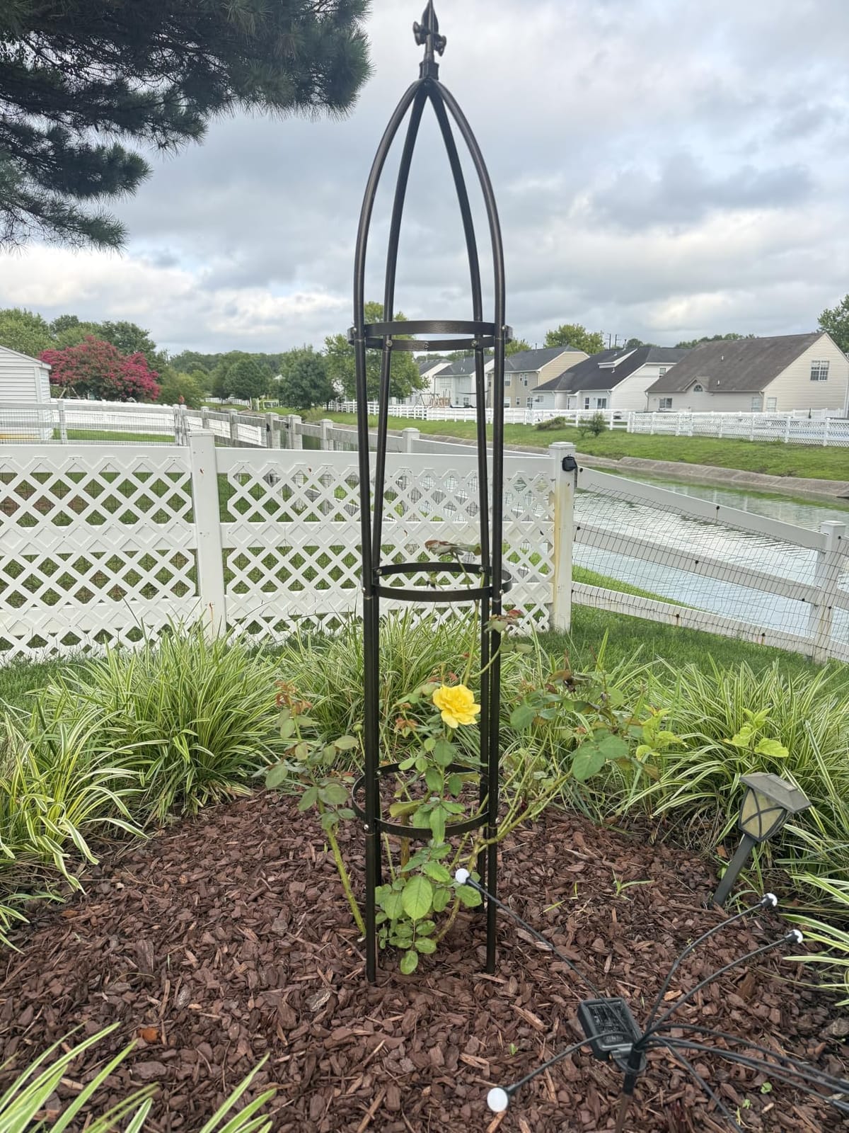 100% Metal Garden Obelisk Trellis Heavy Duty 6.3 ft Tall for Climbing Vines | Upgraded 16mm Thick Steel Tubes Rustproof Bronze Tower, 4.9lb Tall Plant Support Stands for Flowers, Roses, Clematis & Tomato customer photo 1