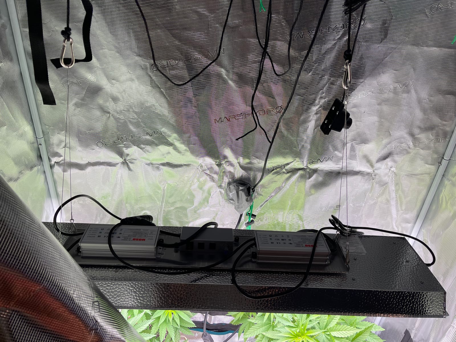 MARS HYDRO 4x2 Grow Tent Kit with TSL2000 300W Full Spectrum LED Grow Light customer photo 1