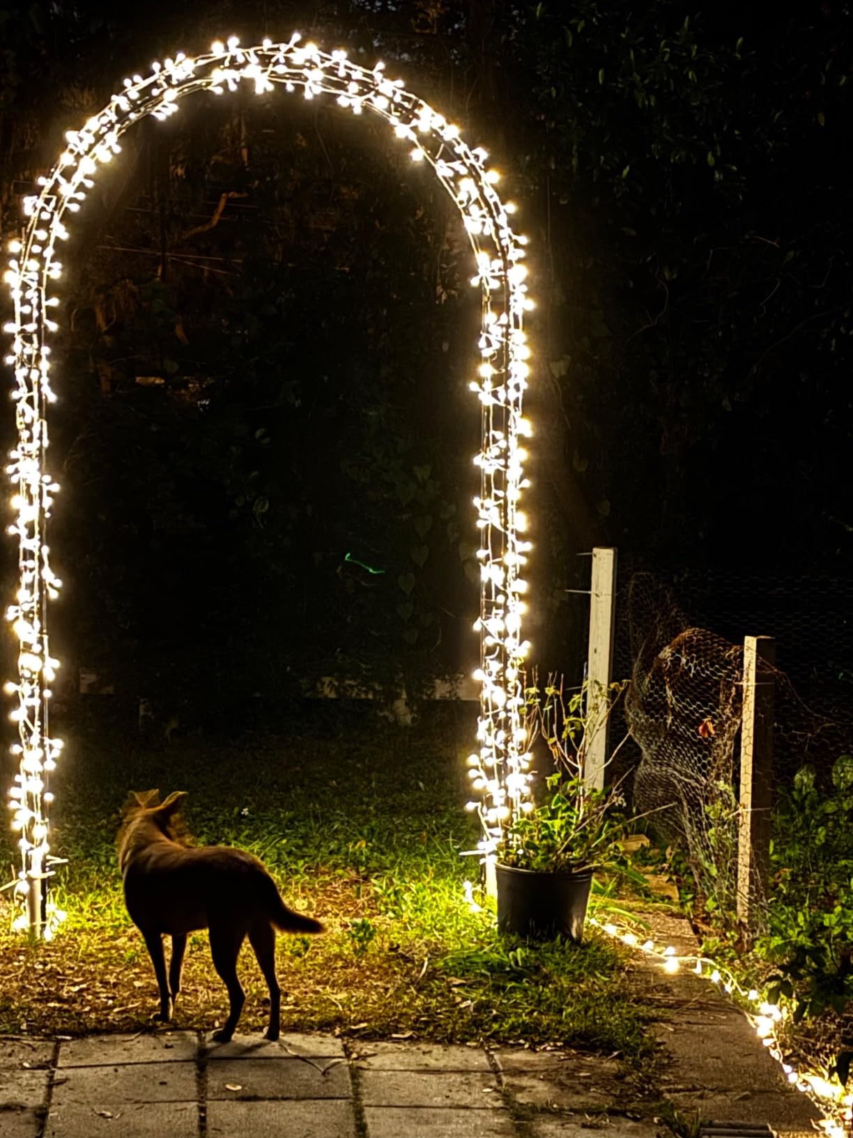 Metal Garden Arbor Wedding Arch 95.3