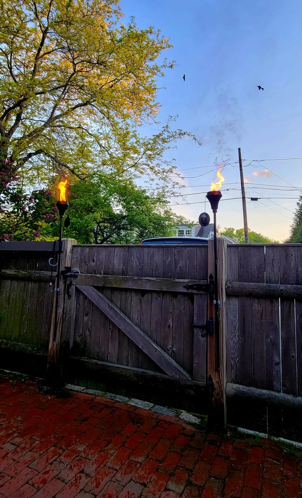 TIKI Island King Outdoor Torch Weather-Resistant Backyard Garden Decor customer photo 1