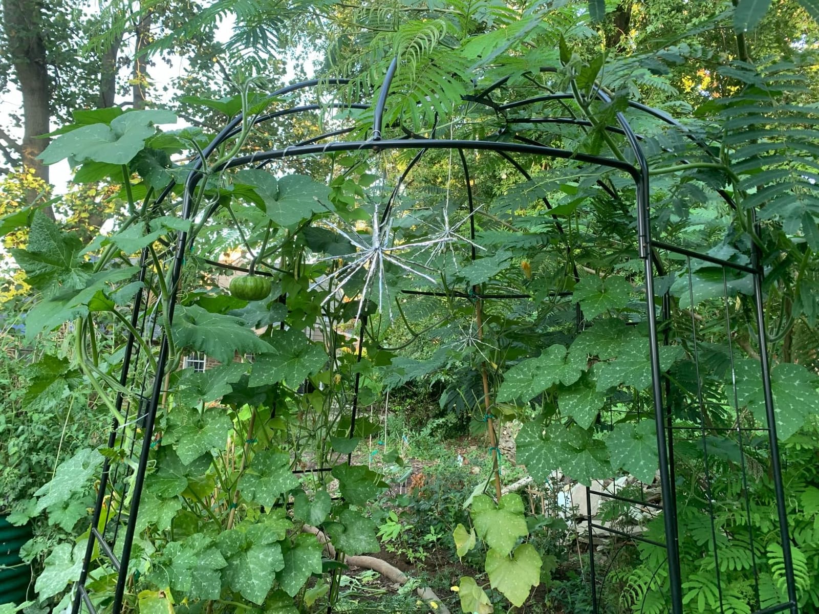 Garden Arches Arbors Birdcage Shape, 9' High x 6.8' Wide, Metal Pergola Pavilion Gazebo Enduring Iron Trellis Plants Support Use for Outdoor Garden Arbor Climbing Plants Wedding Arches Ceremony customer photo 2