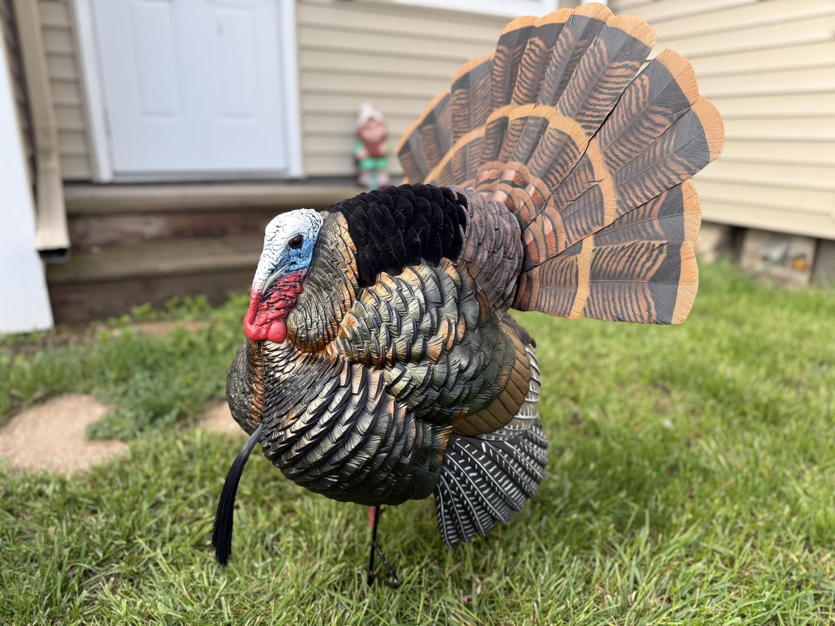 AVIAN-X HDR Strutter Turkey Decoy - Rugged Durable Realistic Lifelike Dominant Body Standing Hunting Decoy with 2 Removable Heads & Wings, Beard, Adjustable Tail Fan, Mounting Stake & Carry Bag customer photo 2