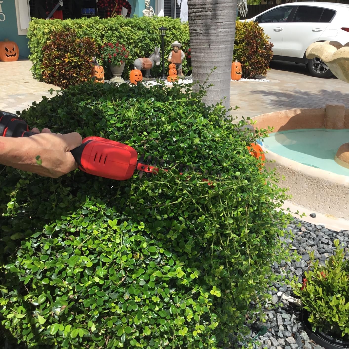 CRAFTSMAN V20 4 In. Cordless Handheld Grass Trimmer and 8 In. Mini Hedge Trimmer, Battery and Charger Included, Rechargeable 2 in 1 Grass Shear and Bush Trimmer (CMCSS800C1) customer photo 1