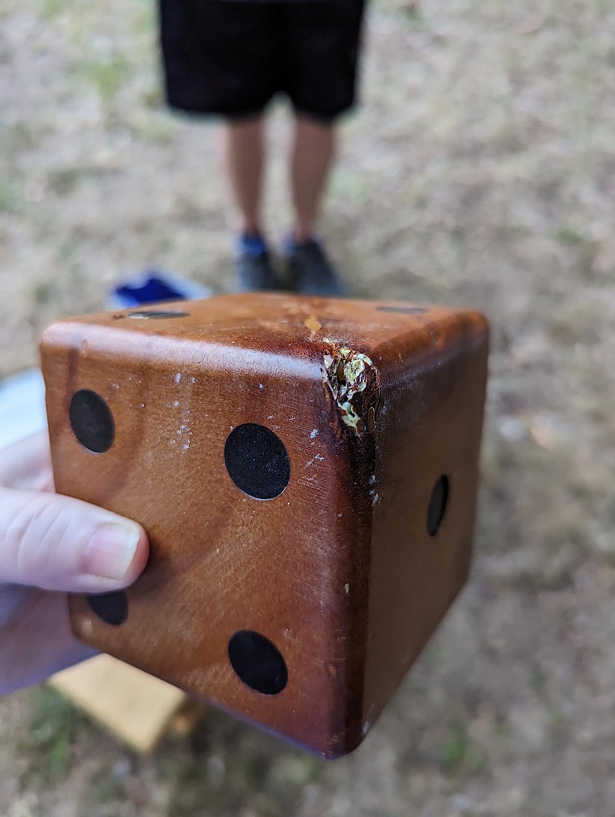 SpeedArmis Giant Yardzee Yard Dice Set, 3.5