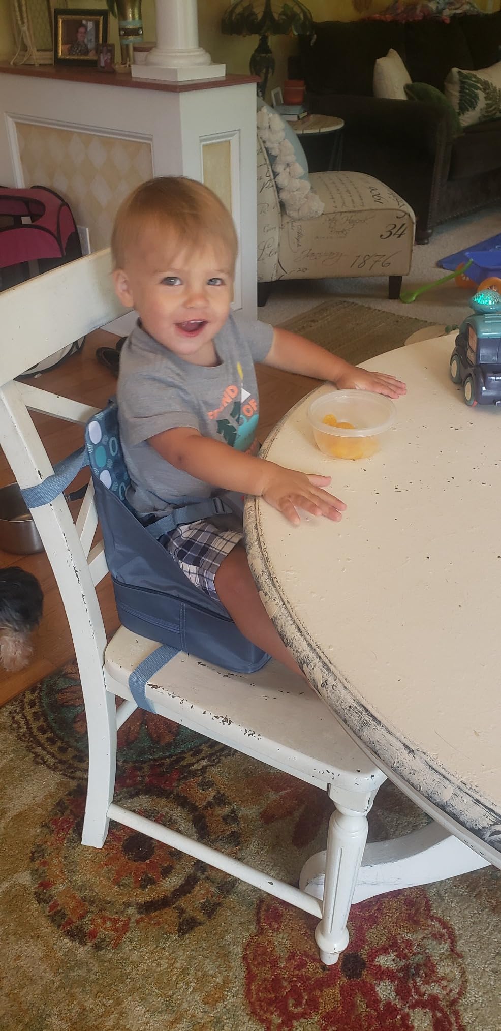 Nuby Easy Go Booster Seat for Kitchen Chair - Gray Chevron customer photo 1