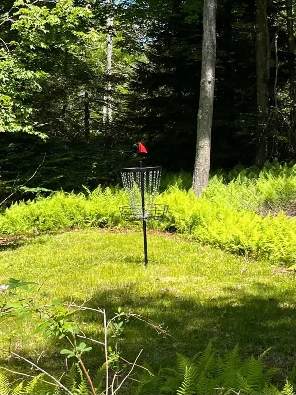 TARUMG 24-Chains Disc Golf Basket with Handbag&Discs,Multi-Colors Choices customer photo 2