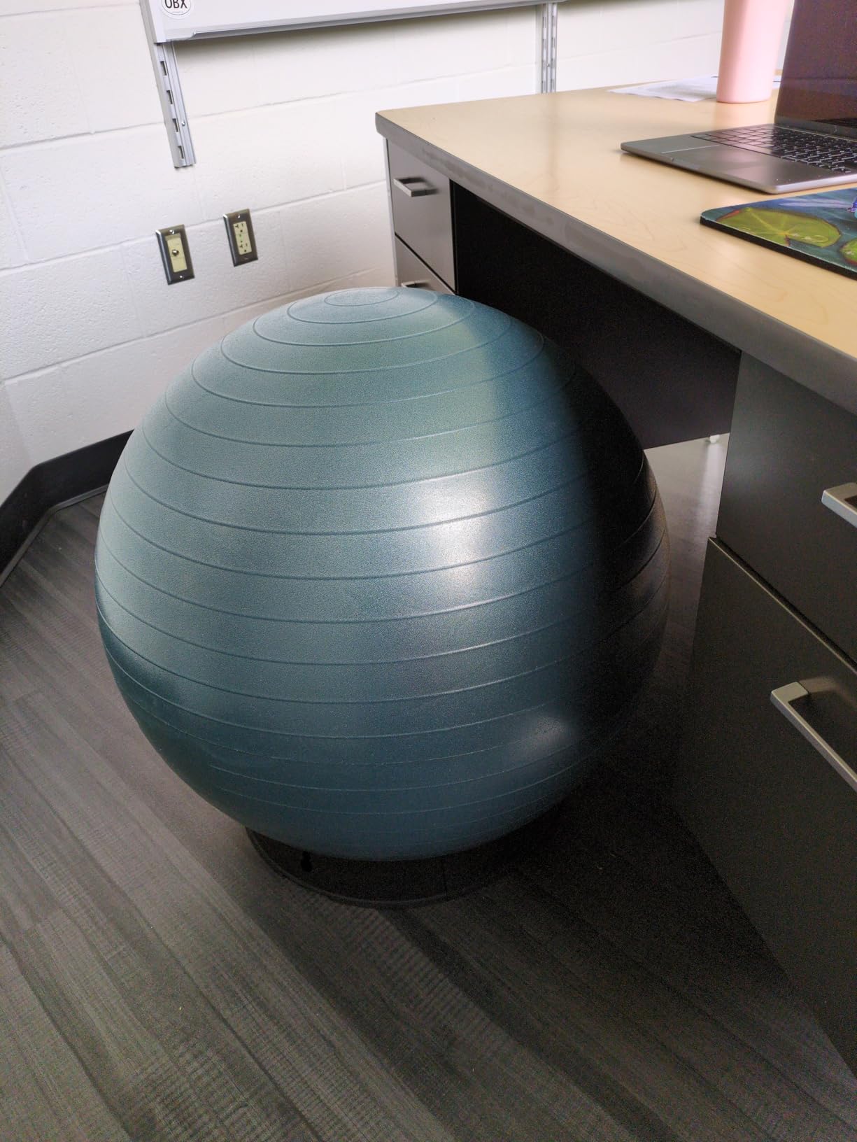 Retrospec Luna Exercise Ball with Pump - Anti-Burst Fitness Equipment for Yoga, Core Training & Stability customer photo 1