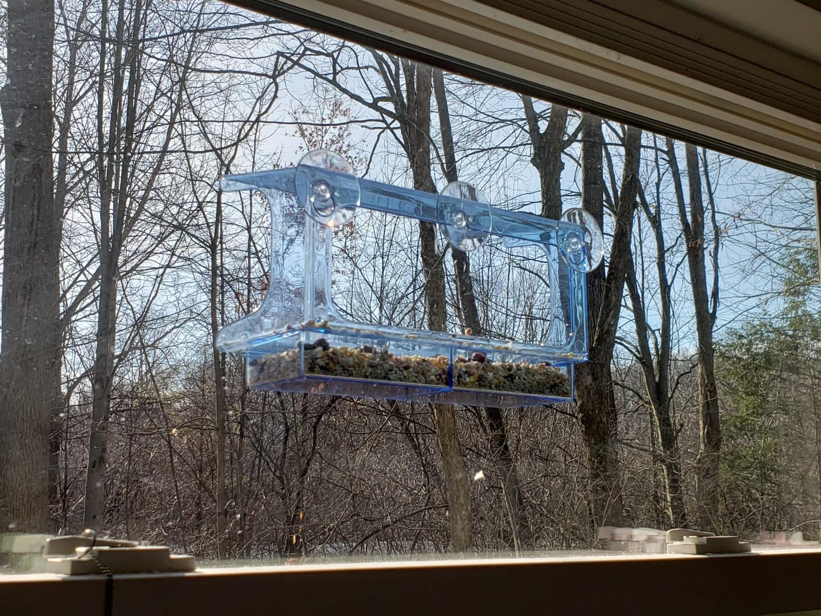 LUJII Shatterproof Window Bird Feeder with Strongest Suction Cups, Polycarbonate Window Mount Feeder with Crystal Clear View & Life-Out Tray, Fits Bigger Birds Like Cardinal or Blue Jay, Clear customer photo 2