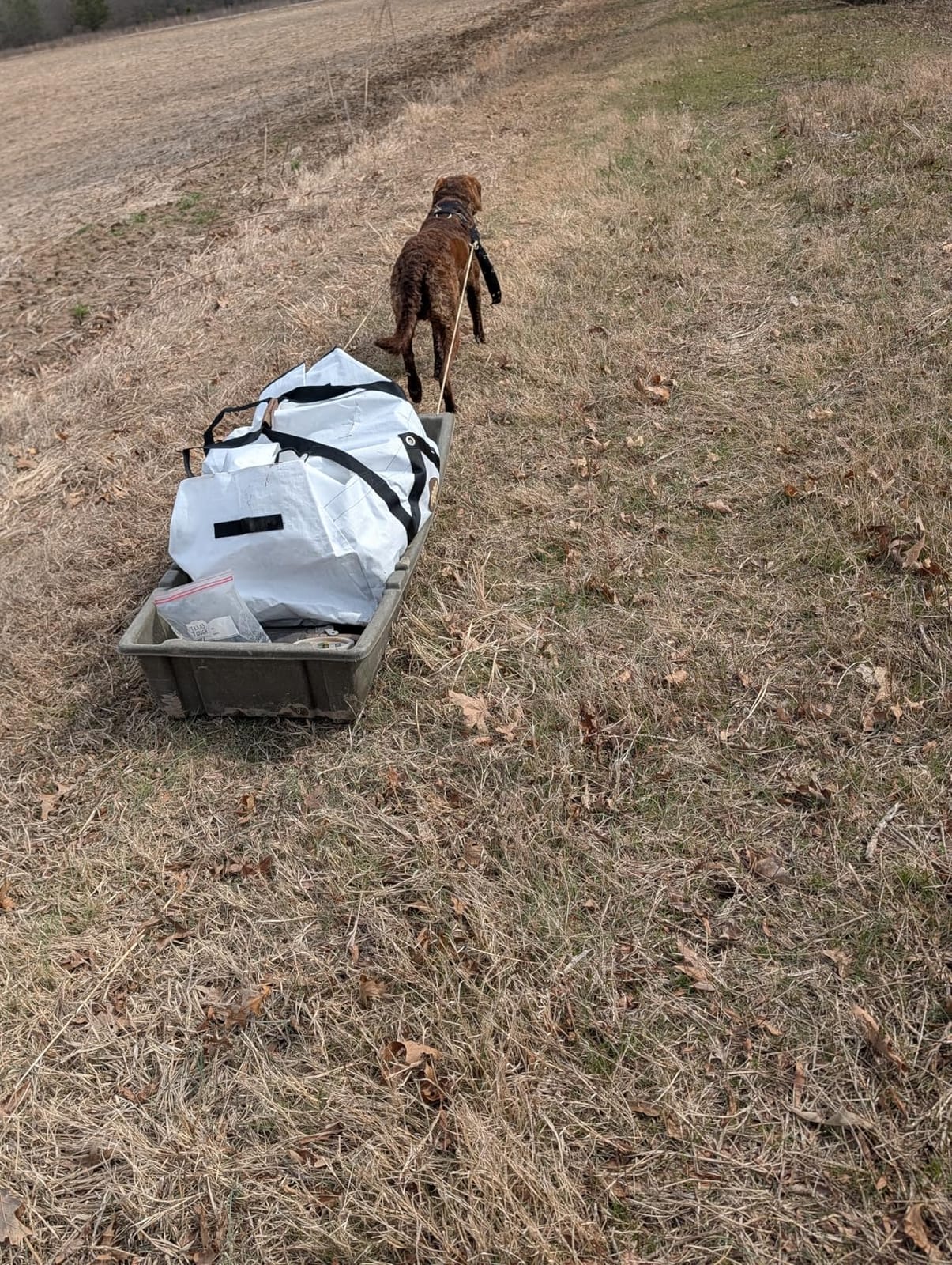 Forestpaw Heavy Duty Sled Dog Harness for Medium Large Dogs, fits 23-28.5