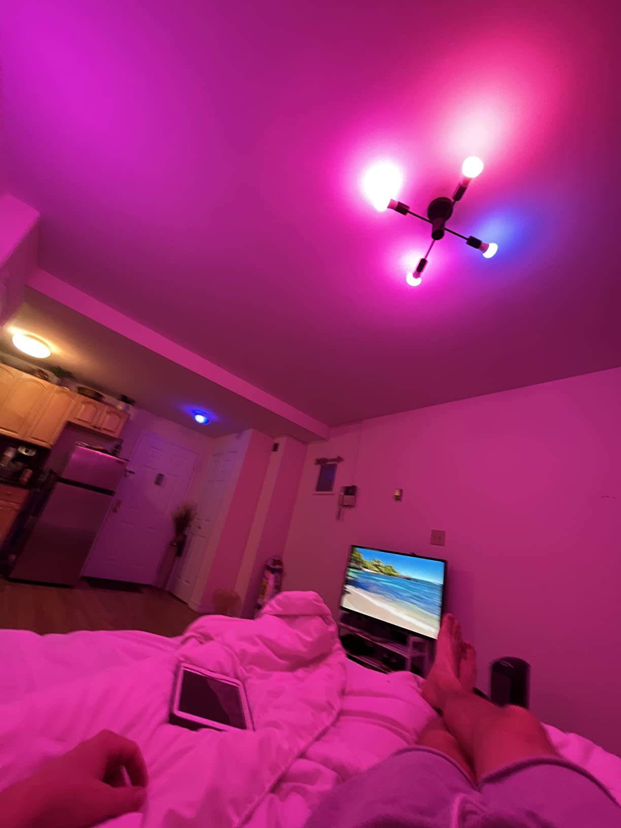 Philips Hue Smart Light Starter Kit - Includes (1) Bridge and (4) 75W A19 E26 LED Smart White and Color Ambiance Bulbs - Control with App - Compatible with Alexa, Google Assistant, and Apple HomeKit customer photo 2