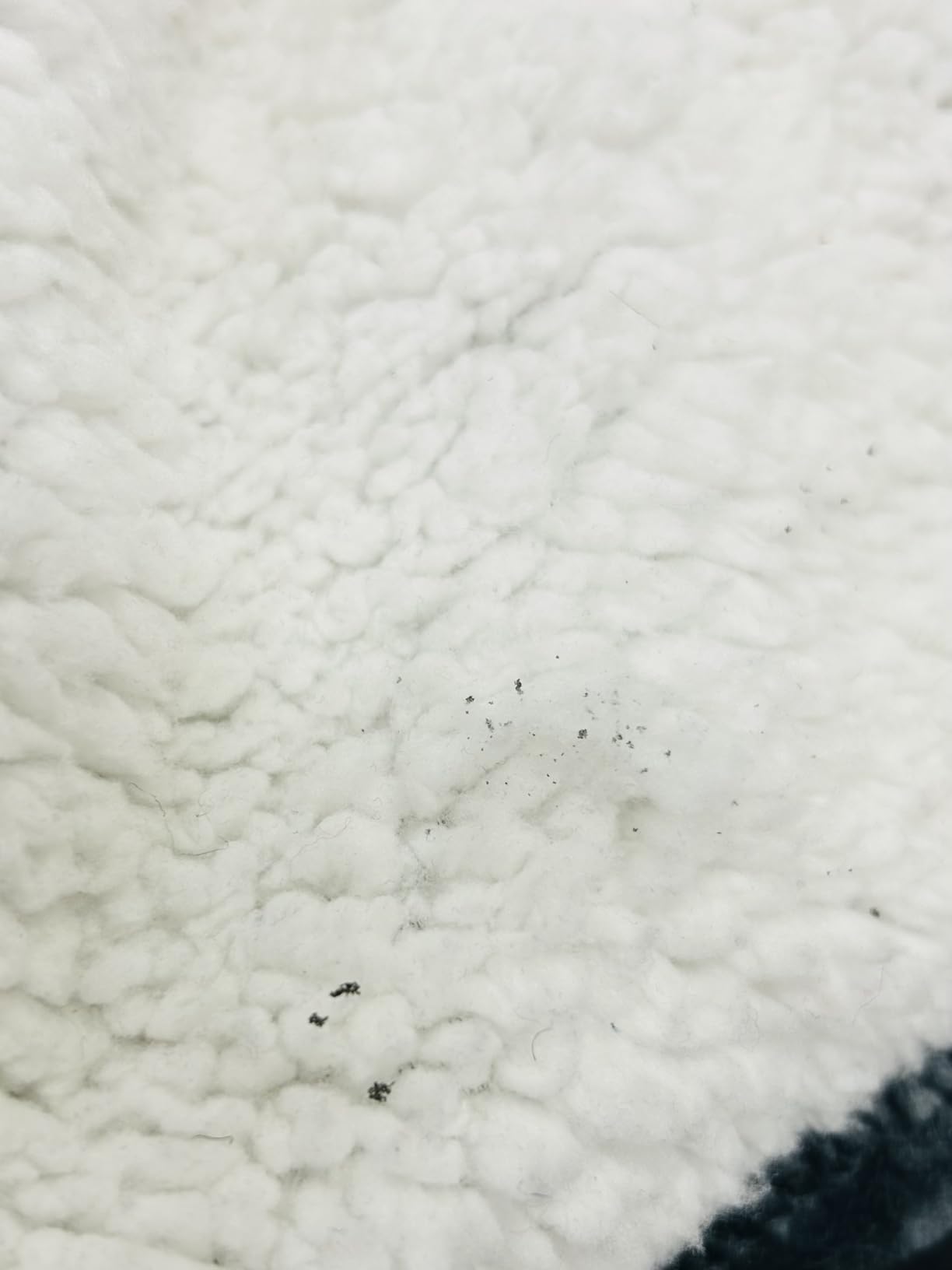 Westinghouse Heated Throw Blanket, 50