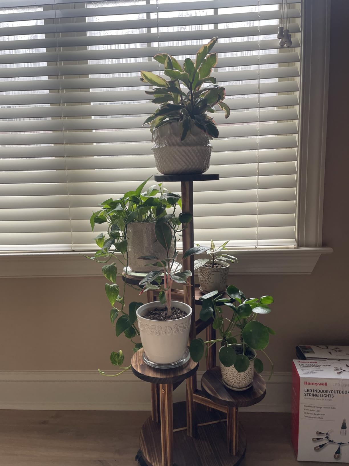 GEEBOBO 5 Tiered Tall Plant Stand for Indoor | Wood Plant Shelf Corner Display Rack, Multi-tier Planter Pot Holder Flower Stand for Living Room Balcony Garden Patio, Brown customer photo 2