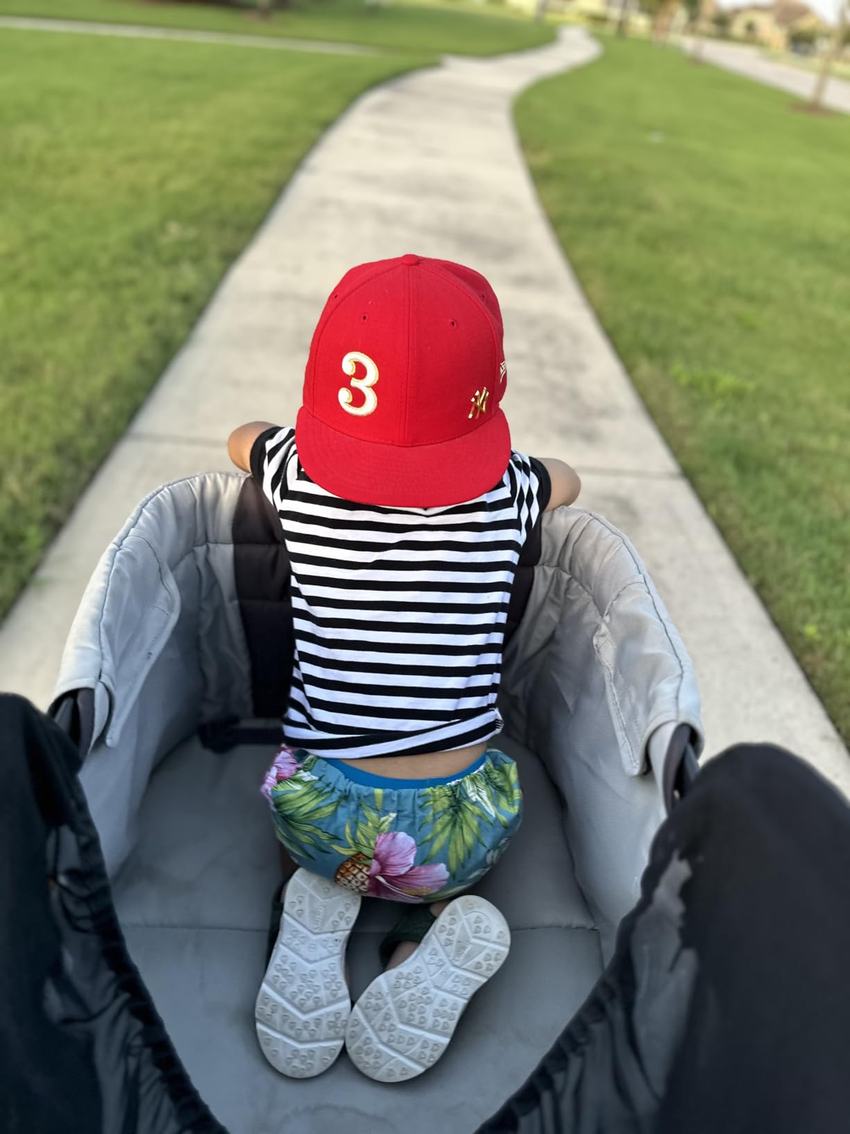 Baby Trend Expedition 2-in-1 Push/Pull Wagon with Canopy, Liberty Midnight customer photo 1