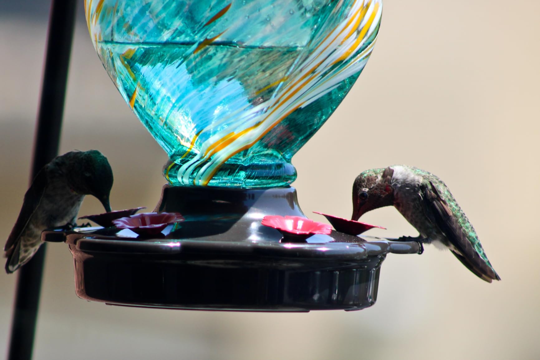 LUJII Ice Cream Shaped Spiral Hummingbird Feeder for Outdoors Hanging, Hand Blown Glass, 28 fl.oz, Leak Proof & Rustproof, Includes an Ant Moat, Unique Garden, Outside & Backyard Decor (Ribbon) customer photo 1
