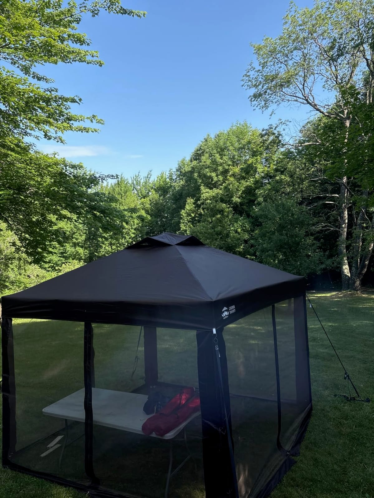 CROWN SHADES Gazebo 10x10 Pop Up Canopy with Mosquito Netting, Beige | Screen Tent with 4 Ropes, 8 Stakes, 4 Sandbags and Wheeled Storage Bag, Canopy for Patio & Backyard Parties, Camping&Events customer photo 1