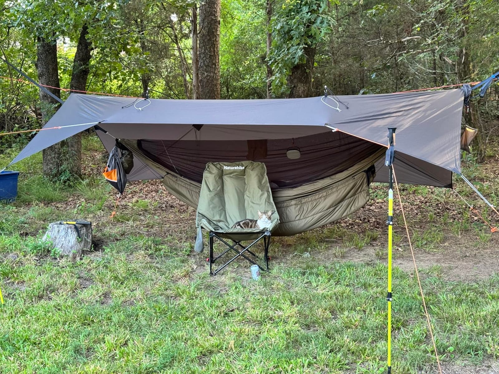 Onewind 11ft Ultralight Camping Hammock with Mosquito Net and Ridgeline | 40D Hexagon Ripstop Nylon, Integrated No-see-ums Bugnet, 64'' Single Wide Panel, Lightweight Hammock for Hiking Backpacking customer photo 1