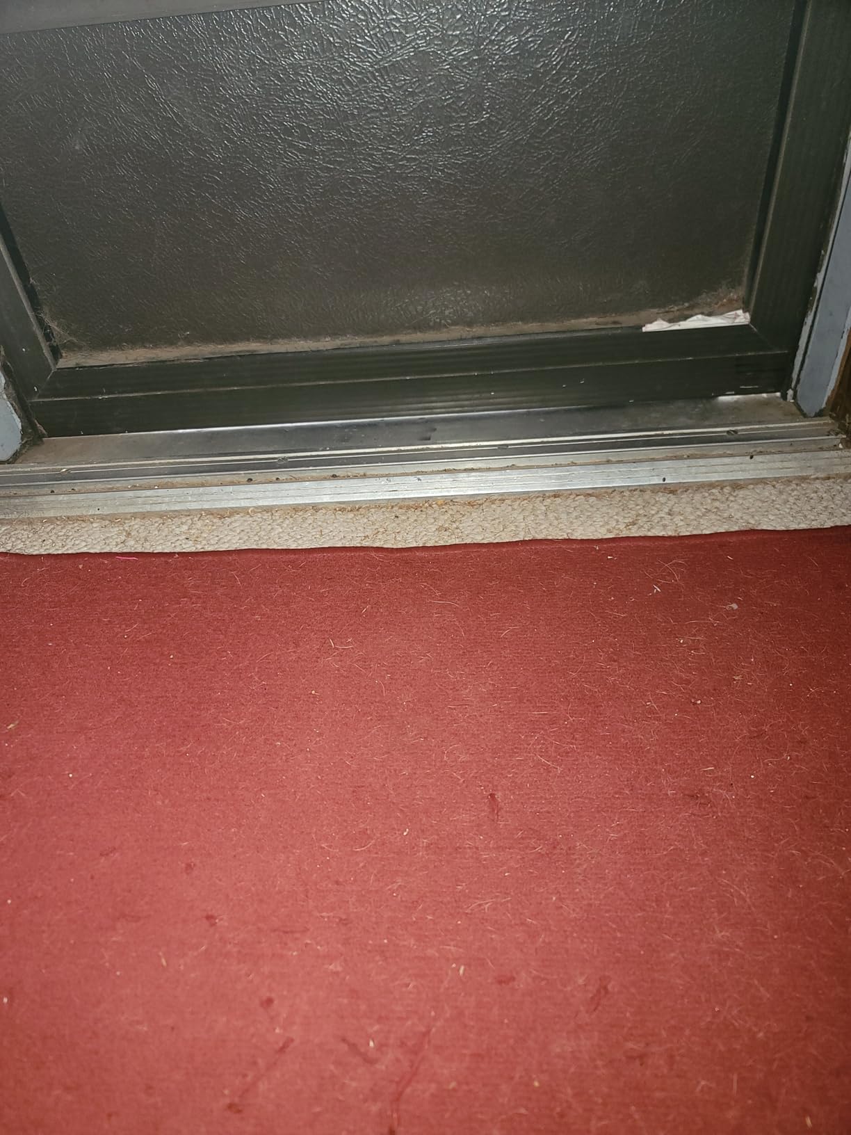 FACHNUO 2FT Portable Wheelchair Ramp for Home Steps, Non-Skid Aluminum Ramp customer photo 1