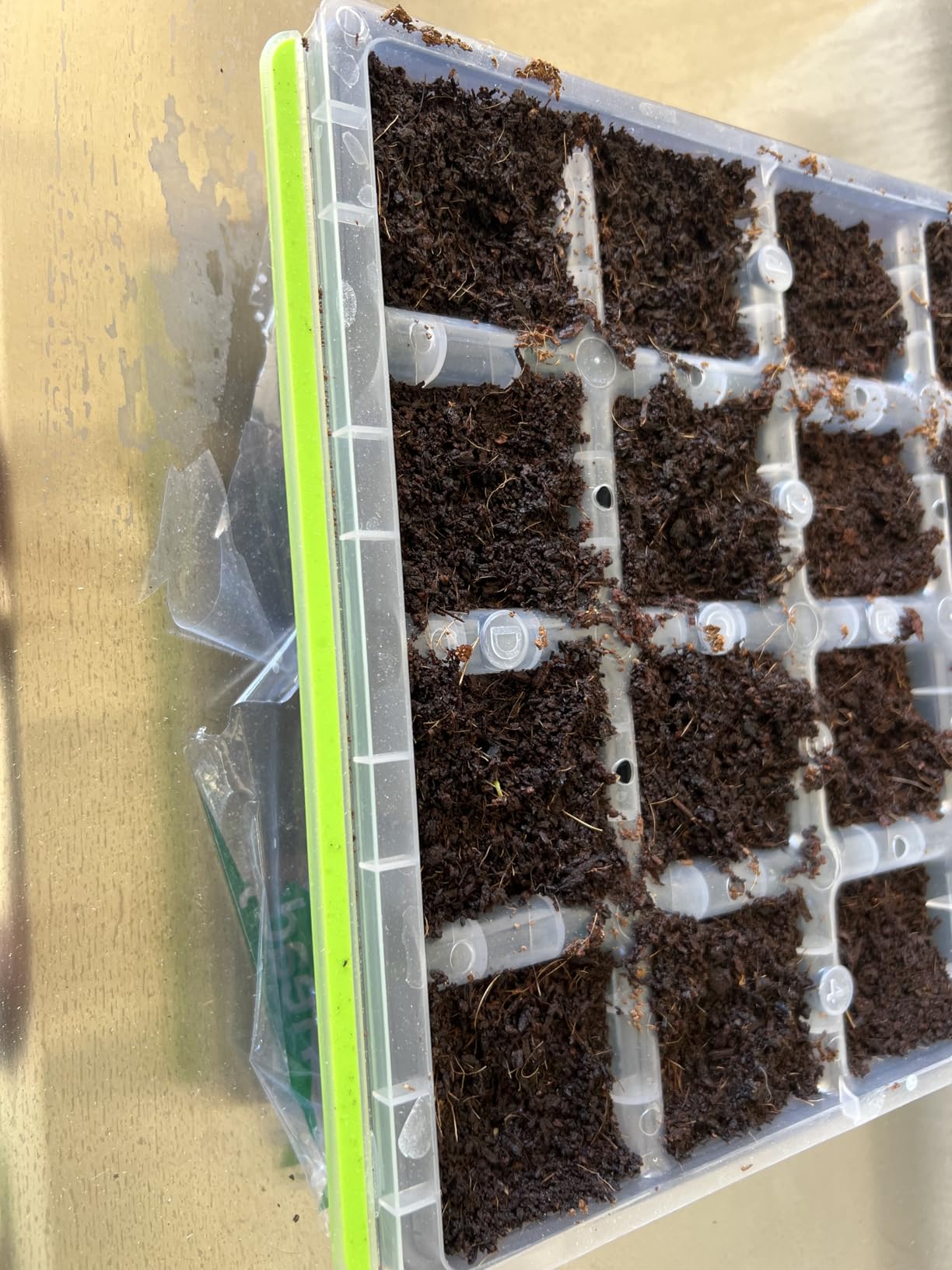Burpee SuperSeed 36-Cell Reusable Seed Starting Tray for Indoor Seedlings | Flexible silicone cells pop out seedlings for easy transplanting. Ideal for starting vegetable, flower and herb seeds indoor. customer photo 2