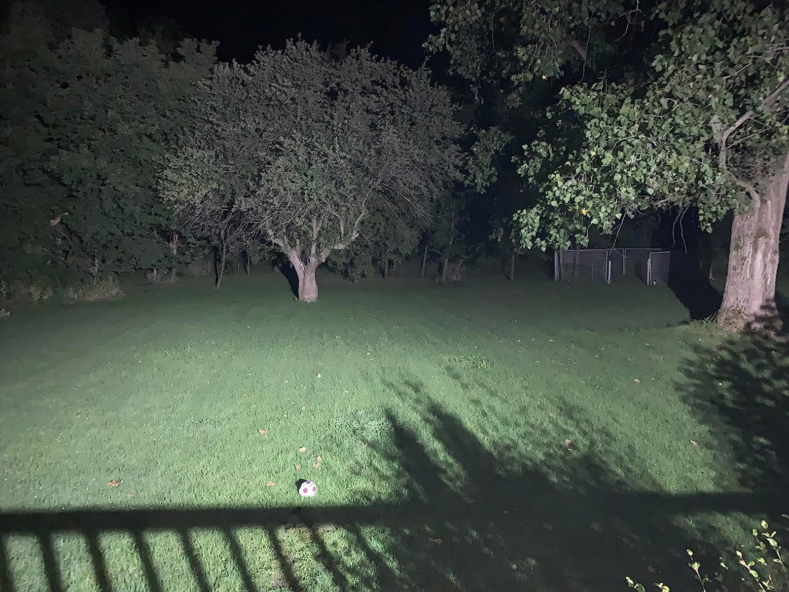 Sylvania Night Chaser LED PAR38 Light Bulb, 250W = 23W, 22 Year, Dimmable, Super Bright 2650 Lumens, Wet Rated, 5000K, Daylight - 2 Pack (41358) customer photo 1