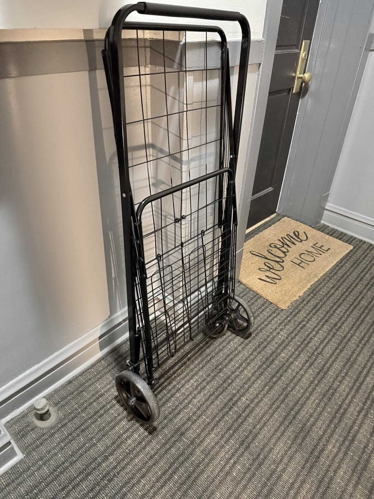 Amazon Basics Foldable Collapsible Shopping Utility Cart with 360-Degree Wheels, Multi-Functional for Sports, Easy Assembly, X-Large, Black customer photo 1