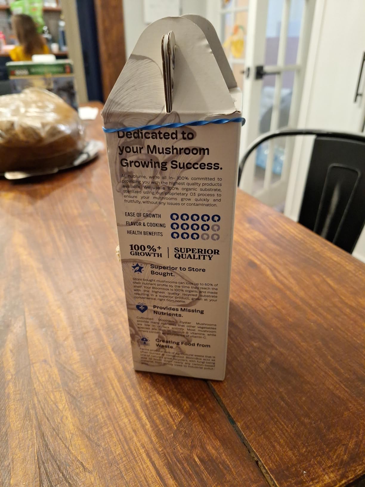 BloomBox Blue Oyster Mushroom Grow Kit – Spray & Grow – Pre-Inoculated Indoor Mushroom Farm – Beginner Friendly – Harvest Fresh Gourmet Mushrooms in Days – Perfect Gift customer photo 1