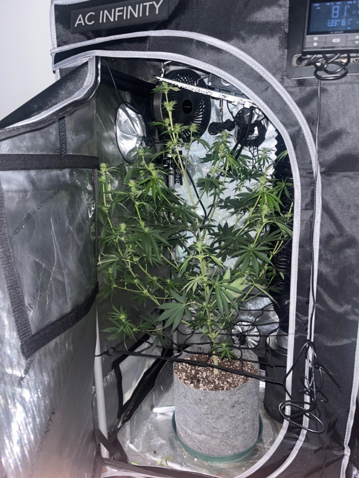 AC Infinity AI Grow System Compact 2x2, 1-Plant Kit w/ AI Controller customer photo 1