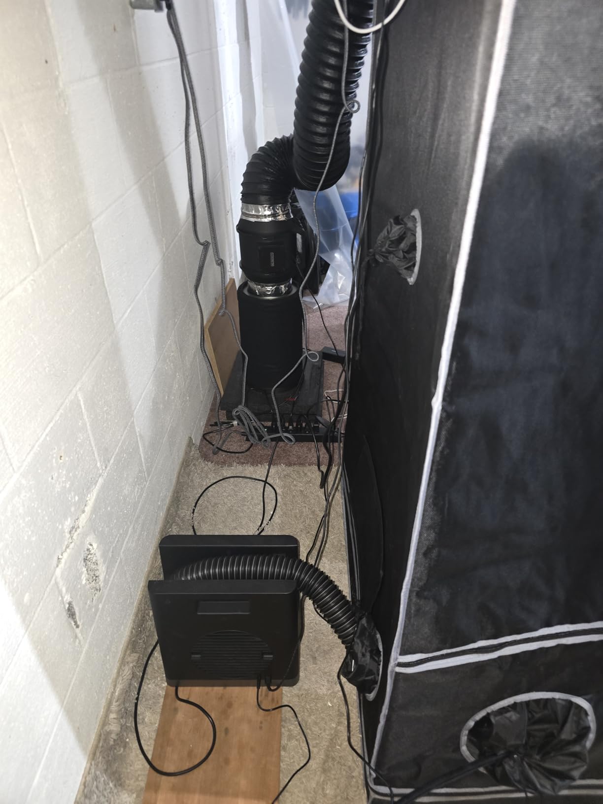 AC Infinity AI Grow System 3x3, 3-Plant Kit w/Self-Learning AI Controller customer photo 2