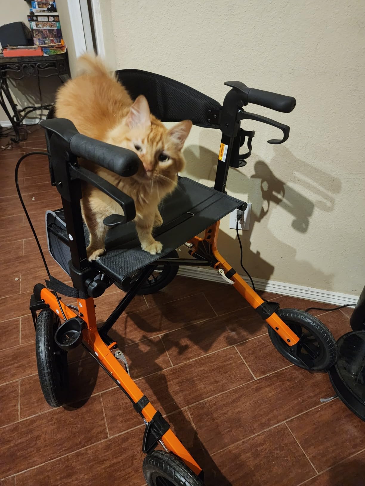 ELENKER All-Terrain Rollator Walker with Non-Pneumatic Tire 12” Front Wheels, Compact Folding Design for Seniors, Blue customer photo 1