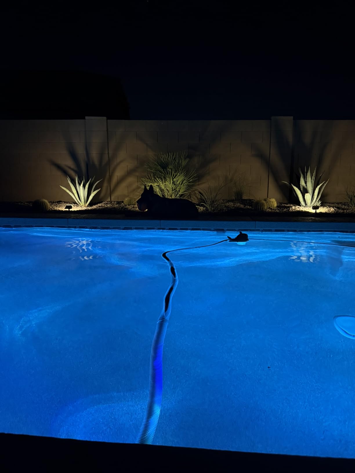 NYMPHY Solar Lights Outdoor Waterproof - 4 Pack (Cool White) customer photo 1