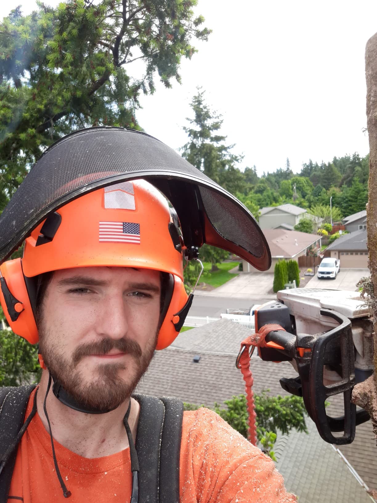 Forestry Safety Helmet Chainsaw Helmet with Mesh Face Shield and Ear Muffs 3 in 1 Forestry Hard Hat customer photo 2